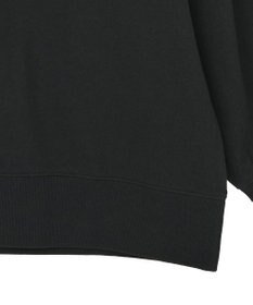 AMERICAN HOLIC 90sカラーロゴ裏毛プルオーバー