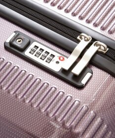 ACE BAGS & LUGGAGE World Traveler ボトムベイ スーツケース 34リットル 2~3泊 3kg 機内持ち込みサイズ キャスターストッパー 双輪キャスター 06951 ワールドトラベラー キャリーケース