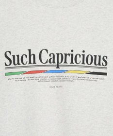 AMERICAN HOLIC 90sカラーロゴ裏毛プルオーバー