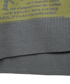 Green Parks ・ｆｕｒｒｙ　ｒａｔｅ　ジャカードニットプルオーバ