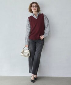 WEGO 【26年春新色登場★】USPOLOBIGシャツ