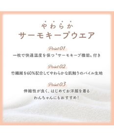 PET PARADISE ペットパラダイス サーモキープ タンクトップ 《ポンポンくまちゃん》 超小型犬 小型犬