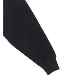 AMERICAN HOLIC ＮＥＢＲＡＳＫＡロゴプリントスウェット①