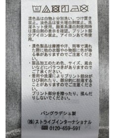 AMERICAN HOLIC リンガーロゴプルオーバー2