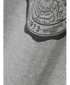 AMERICAN HOLIC リンガーロゴプルオーバー2