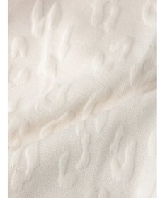 Green Parks ヒョウ柄ジャガードプルオーバー