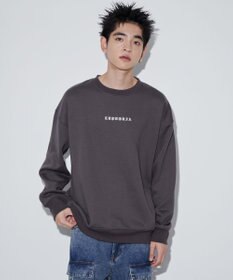 WEGO 【ユニセックス着用ITEM】アーチバックロゴグラフィックプルオーバー