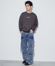 WEGO 【ユニセックス着用ITEM】アーチバックロゴグラフィックプルオーバー