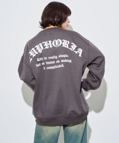 WEGO 【ユニセックス着用ITEM】アーチバックロゴグラフィックプルオーバー