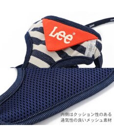 PET PARADISE Lee ハーネス＆リード 《ボーダー》 Ｓ 小型犬