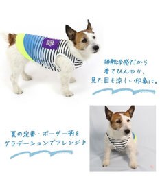 PET PARADISE 犬の服 夏 ひんやり クール メッシュ 接触冷感 虫よけ グラデーション タンクトップ 【小型犬】クールマックスエコメイド