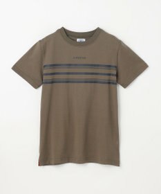 J.PRESS KIDS 【140-170cm】ボーダープリント Ｔシャツ