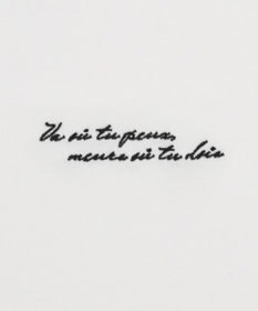 WEGO AIRFUNCTIONアソートロゴT（SS）