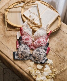 San-ai Resort（三愛水着楽園） エレガントコレクション【2409】単品ブラHIカップ 【northerly】