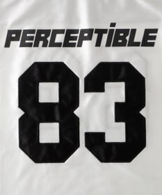 WEGO ナンバリングビッグT