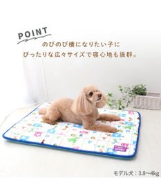 PET PARADISE ディズニー トイ・ストーリー もちっと クールマット 防臭