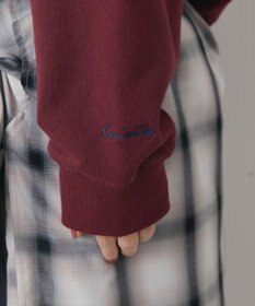 AMERICAN HOLIC Vネックワンポイントロゴスウェットプルオーバー