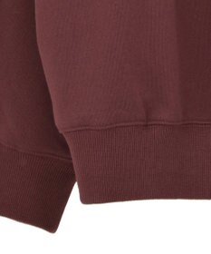 AMERICAN HOLIC Vネックワンポイントロゴスウェットプルオーバー