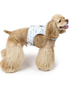 PET PARADISE ディズニー 101匹わんちゃん 保冷剤ポケット付き ハーネス ＳＭ 中型犬