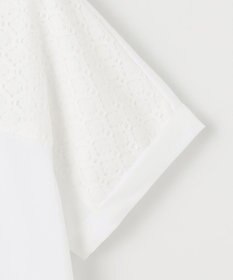 J.PRESS LADIES S 【吸水速乾】レーシーコンビ フレンチスリーブ カットソー