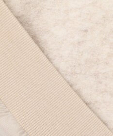 ANY SIS スライバー ブルゾン