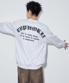 WEGO 【ユニセックス着用ITEM】アーチバックロゴグラフィックプルオーバー