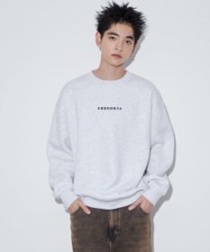 WEGO 【ユニセックス着用ITEM】アーチバックロゴグラフィックプルオーバー