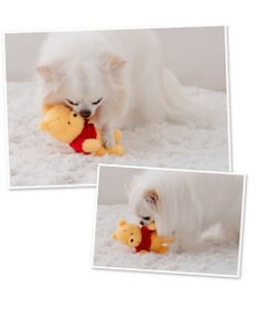 PET PARADISE ディズニー くまのプーさん ほのぼのプーさん トイ