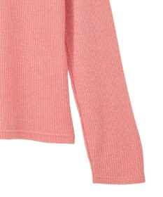 Green Parks ｉｎ　ラメリブハイネックプルオーバー