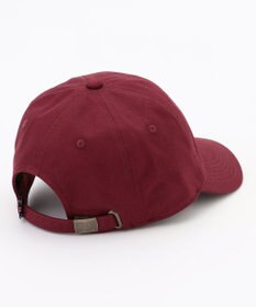 ANY 【POLO BCS別注】キャップ
