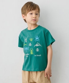 ANY KIDS 【洗濯機可能】昆虫プリント 半袖Tシャツ