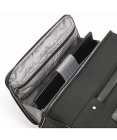 ACE BAGS & LUGGAGE ace.GENE エース フレックスルーフ2 ビジネストローリー 機内持ち込みサイズ 2-3泊 67571