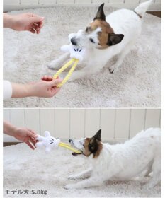 PET PARADISE ディズニー ミッキーマウス 《手のロープトイ》 犬用おもちゃ