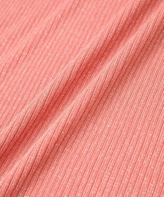 Green Parks ｉｎ　ラメリブハイネックプルオーバー