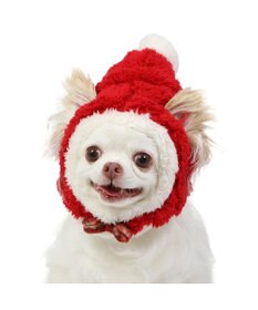 PET PARADISE ペットパラダイス クリスマス サンタ帽子 《ふわふわチェック柄 》 小型犬
