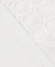 J.PRESS LADIES S 【吸水速乾】レーシーコンビ フレンチスリーブ カットソー