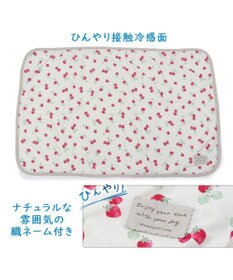 PET PARADISE ペットパラダイス クールブランケット 単品 (90×60cm)  《 苺柄 / ネイティブ柄 》