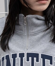 WEGO グラフィックハーフジップスウェット