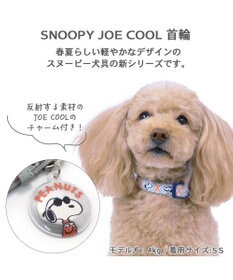 PET PARADISE スヌーピージョークール 反射 お揃い首輪  【Ｓ】