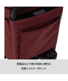 ACE BAGS & LUGGAGE soelte ミニュア キャリーバッグ 19L お買い物カート 機内持ち込み 20461 ソエルテ
