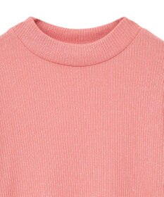 Green Parks ｉｎ　ラメリブハイネックプルオーバー