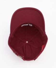 ANY 【POLO BCS別注】キャップ
