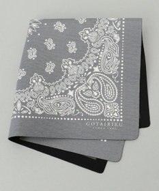 GOTAIRIKU BOX入りでギフトに最適【高機能吸水 / 抗菌防臭加工/シワになりにくい】バンダナハンカチ