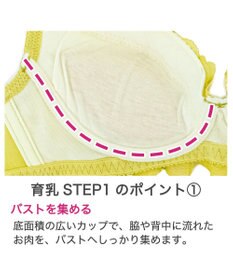 BRADELIS New York 【BRADELIS New York / 育乳補整ブラ・STEP1 集める】ジャスミンステップ1ブラ24A1