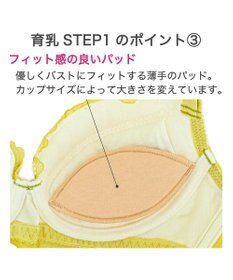 BRADELIS New York 【BRADELIS New York / 育乳補整ブラ・STEP1 集める】ジャスミンステップ1ブラ24A1