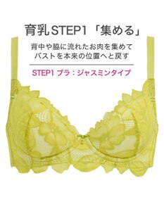 BRADELIS New York 【BRADELIS New York / 育乳補整ブラ・STEP1 集める】ジャスミンステップ1ブラ24A1