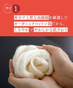 Wing あったか腹巻 オーガニックコットン混 (身生地部) やわらかくやさしい肌ざわり 薄手 【綿の贅沢オーガニック】 秋 冬 ER0531 ウイング／ワコール