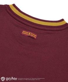 Green Parks ハリー・ポッター／サガラ刺繍ロゴプルオーバー