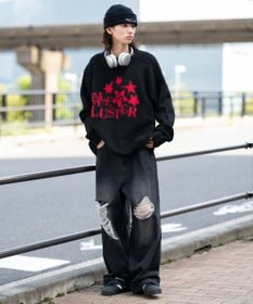 WEGO 【ユニセックス着用ITEM/MLサイズ展開/25年秋冬新作】ファジーグラフィックプルオーバー