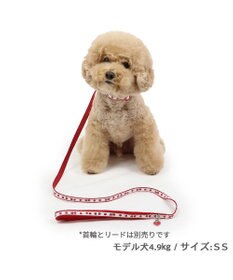 PET PARADISE ペットパラダイス 苺チャーム付き リード Ｓ